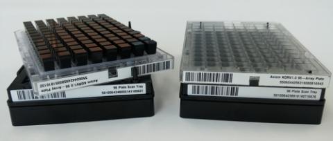 최근 발표된 한국인칩 시제품 ⓒ 국립보건연구원