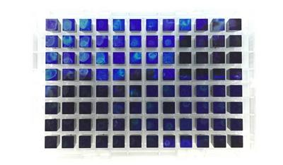 한국인칩은 한국인의 특이적 유전체 정보를 반영하여 제작되었다 ⓒ 국립보건연구원