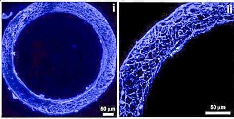 실크 골수 구조의 3차원 현미경 사진 ⓒ David Kaplan, Tufts University