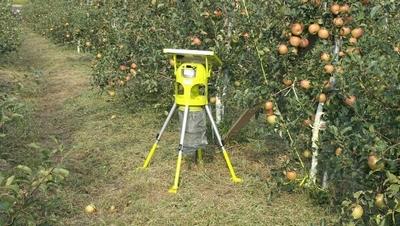 농촌의 골칫거리인 해충 방제를 위해 개발된 스마트트랩 ⓒ 농촌진흥청