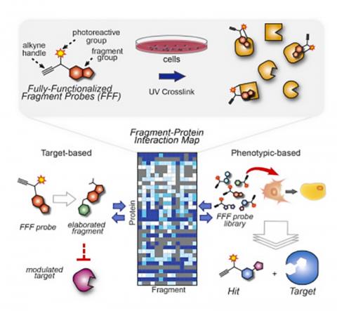 ‘CELL’지에 게재된 논문 내용의 그래픽 요약. : http://dx.doi.org/10.1016/j.cell.2016.12.029ⓒ ScienceTimes