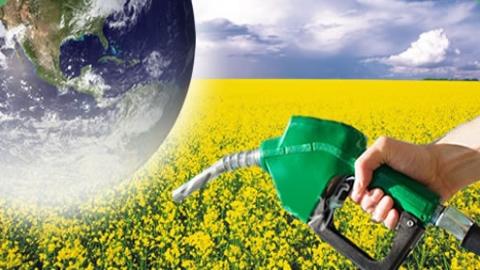 ź  ̿  ̿  ź   ģȯ̶ ̴. ׷ ֱ ̱ ̽ð  ڵ ̿ᰡ  ½ǰ   Ѵٴ  Ҵ. biodiesel.org
