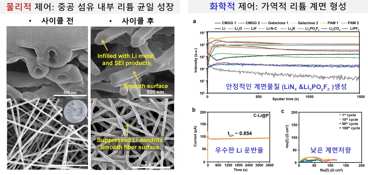 중공 섬유 내부의 리튬 덴드라이트 형성이 억제된 모습 ⓒKAIST 제공