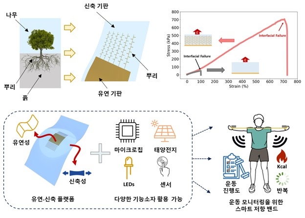 나무뿌리 구조 모사한 신축성 전자기판 ⓒKAIST 제공