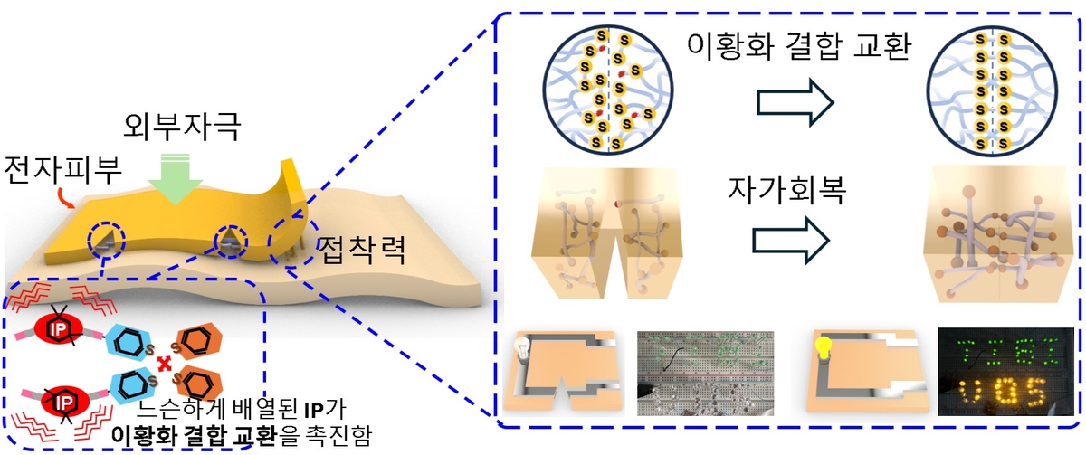 찢어져도 10초 안에 80% 이상 회복되는 전자피부 개발