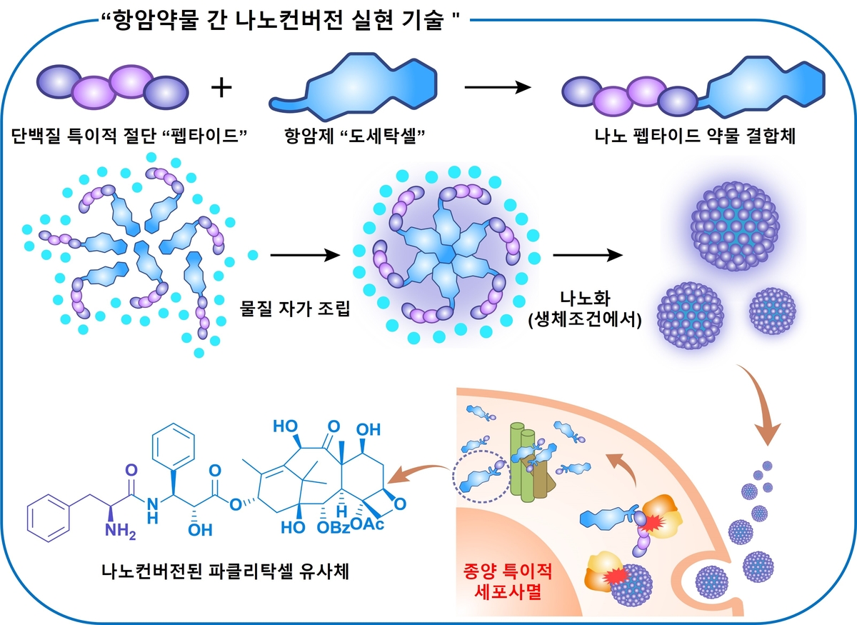 충남대·건국대, '기존 항암제 한계 극복' 나노컨버전 기술 개발
