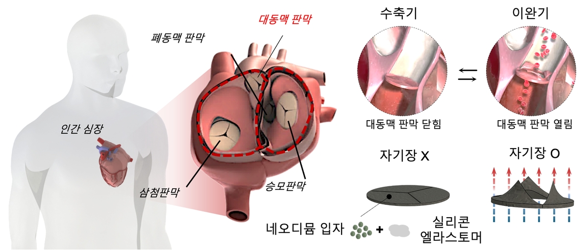신생아의 빠른 심박도 재현 가능한 심혈관 모사 장치 개발