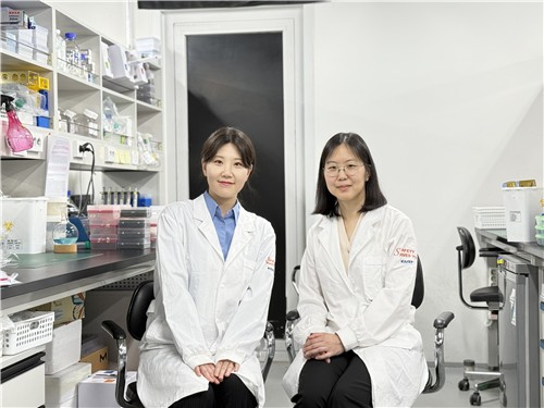KAIST 연구팀, 슈퍼박테리아 감염증 치료 방법 제시 ⓒKAIST 제공