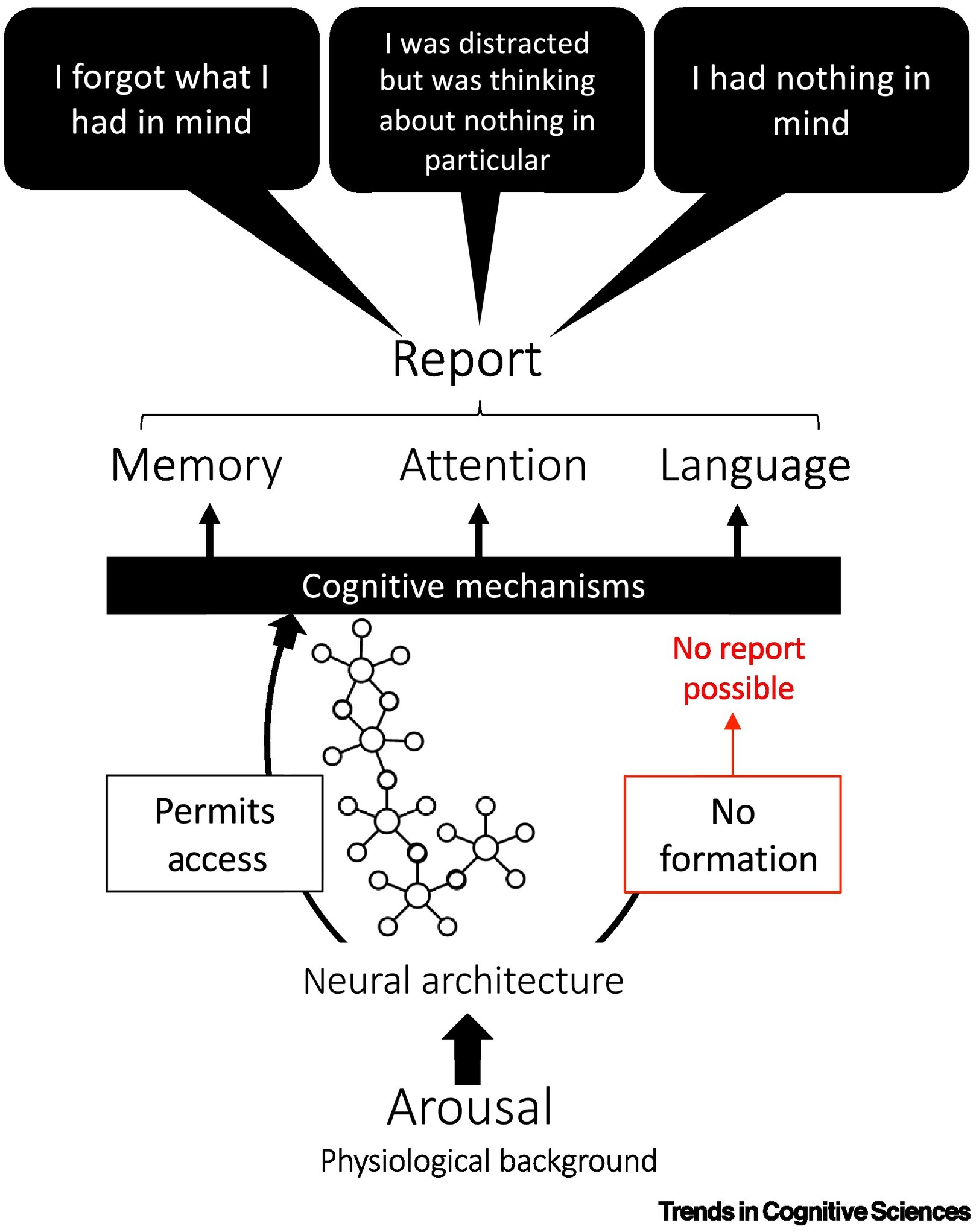 ▲ 마인드 블랭킹의 인지적 설명. ⓒTrends in Cognitive Science