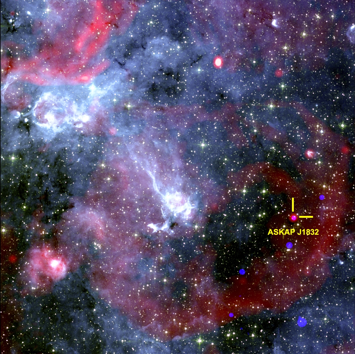 X선-전파 동시 방출 '장주기 전파 천체'(LTP) ASKAP J1832-0911 주변 하늘. 44분마다 X선과 전파를 동시에 방출하는 장주기 전파 천체(LTP)인 'ASKAP J1832-0911' 주변 하늘 모습. 사진은 미항공우주국(NASA) 찬드라 X-선 우주망원경의 X-선 데이터와 남아프리카 미어캣(MeerKAT) 전파망원경 데이터, NASA 스피처 우주 망원경의 적외선 데이터로 합성한 것 ⓒZiteng (Andy) Wang, ICRAR 제공