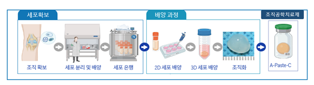 그림 2. 에이템즈 조직공학치료제. 에이페이스트-씨가 만들어지는 과정 ⓒKFRM푸름이야기