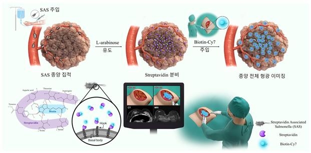 형광 가이드 기반 수술 모식도 ⓒKIST 제공