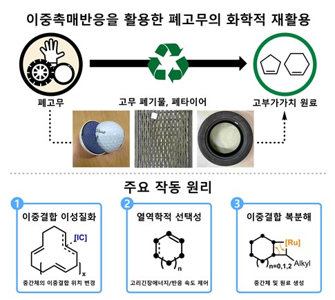 이중 촉매반응을 활용한 폐고무 재활용 ⓒKAIST 제공