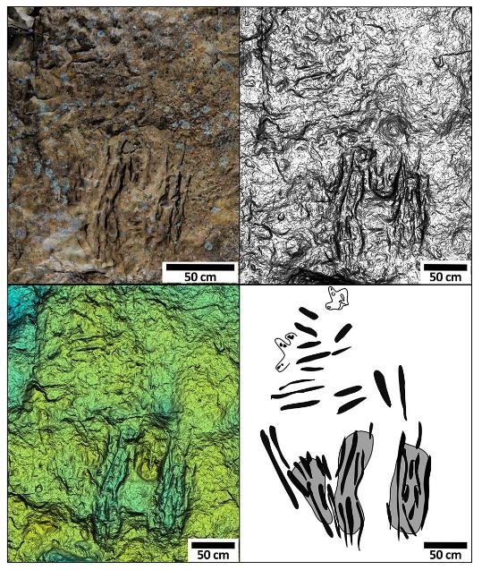 다이노사우르스 리지에서 발견된 공룡의 렉킹 흔적 시각화 자료 ⒸCretaceous Research