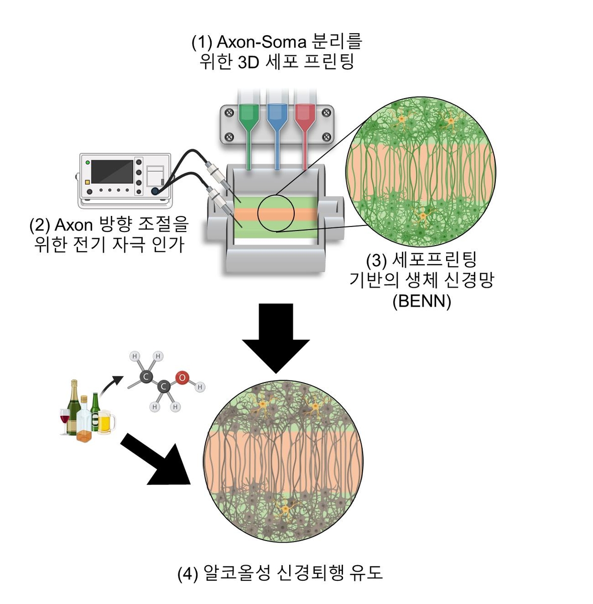연구 관련 이미지 ⓒ포항공대 제공