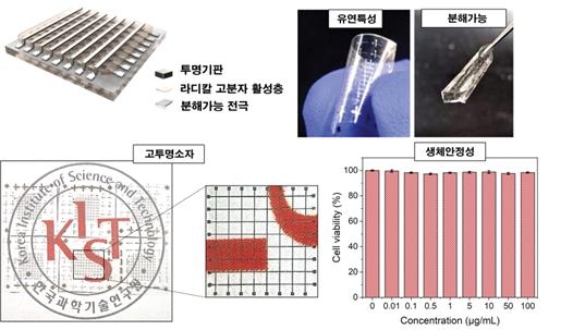 완벽히 물속에서 사라지는 생체적합형 고성능 메모리 소자 ⓒKIST 제공