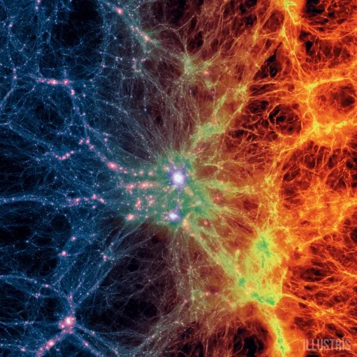 우주의 거대 필라멘트 네트워크인 '우주 거미줄'(cosmic web) 우주를 가로지르는 필라멘트로 이루어진 광대한 네트워크인 '우주 거미줄'(cosmic web) 시뮬레이션 모습. 별, 은하, 은하단은 거미줄의 가장 촘촘한 매듭에서 생겨나며, 수백만 광년 길이로 뻗어 있는 실타래로 연결돼 있다. 이런 실은 눈에는 안 보이지만 ESA의 XMM-Newton 같은 X선 망원경으로 관측할 수 있다 ⓒIllustris Collaboration / Illustris Simulation 제공