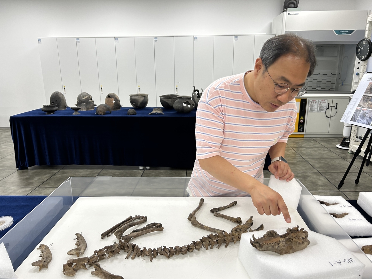 동물 고고학 전문가인 김헌석 학예연구사. 동물 고고학 전문가인 김헌석 국립경주문화유산연구소 학예연구사가 지난 11일 경북 경주시 신라월성연구센터 숭문대에서 월성 남성벽에서 출토된 개 뼈를 설명하고 있다. 국립경주문화유산연구소는 3세기 사로국 시기에 의례를 지내며 묻은 것으로 추정되는 개 뼈를 중심으로 월성 출토 개의 유전자를 분석하고 연구할 예정이다. 2025.6.18 ⓒ연합뉴스 제공