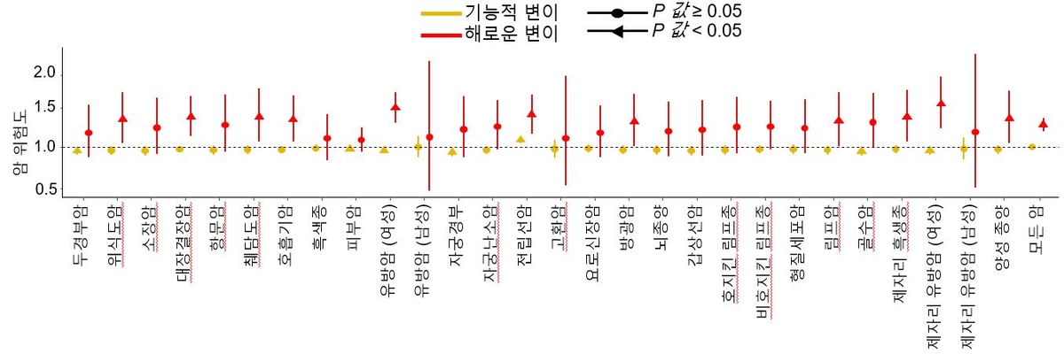 영국 바이오뱅크(UK Biobank)의 약 50만명의 유전체 및 임상 데이터를 활용해 검증한 결과, 연구팀이 구분한 해로운 변이를 갖고 있는 사람은 그렇지 않은 사람보다 암에 걸릴 위험도가 약 1.4배 높은 것으로 나타났다. 2025.07.15. ⓒ세브란스병원 제공