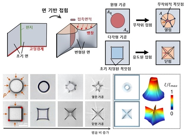 하이드로젤 미세 기공 작동원리 모식도 ⓒ윤현식 교수 제공