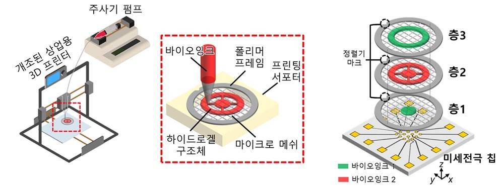 3층 미니 뇌의 신호 전달 과정 측정 ⓒKAIST 제공
