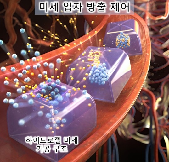 하이드로젤 미세 기공 구조 그림 ⓒ윤현식 교수 제공