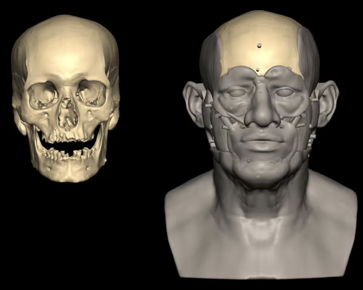 연구진은 두개골의 3D 스캔 데이터와 뼈 분석을 사용하여 고대 이집트인의 얼굴을 재구성했다. © University of Liverpool