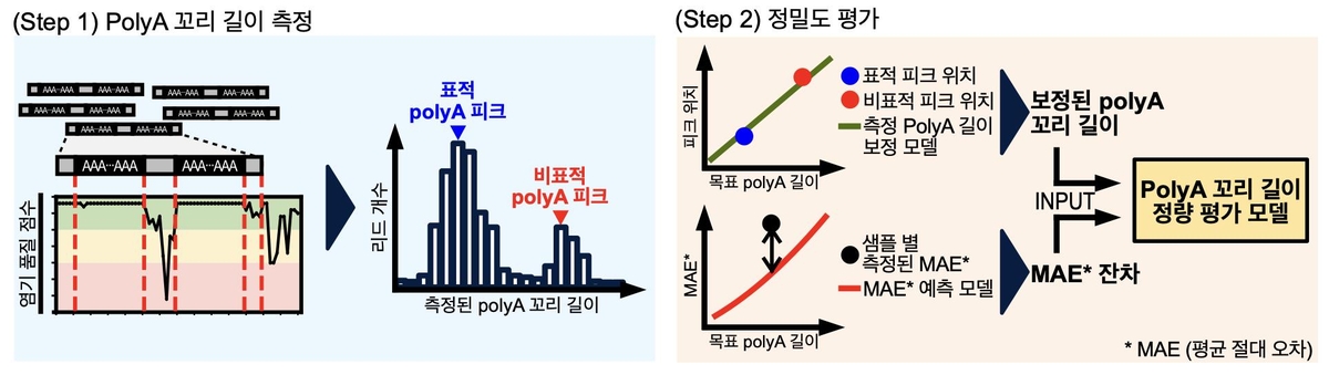 연구 개요도 ⓒ아주대 제공
