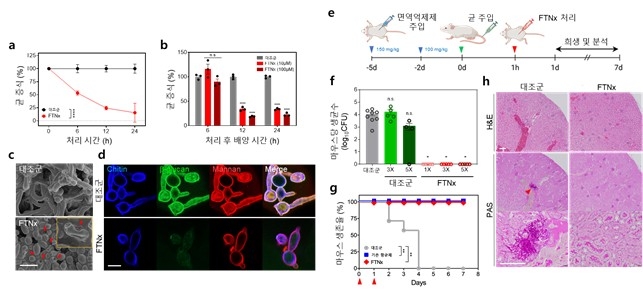 'FTNx' 처리 시간과 농도에 따른 균 증식 결과 ⓒKAIST 제공