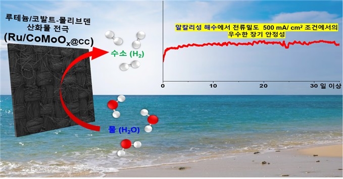 해수 수전해 위한 탄소섬유 기반 전극 그림 ⓒ한국에너지기술연구원 제공