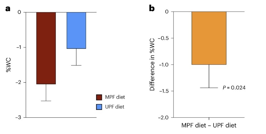 최소가공식품(MPF) 및 초가공식품(UPF) 그룹의 체중 감량 차이 최소가공식품(MPF) 및 초가공식품(UPF) 그룹이 각 식단을 8주간 이행한 후 체중 변화를 측정한 결과 두 그룹 모두 체중이 유의미하게 감소했으나 감량 폭은 크게 달랐다. 최소가공식품 그룹은 체중이 평균 2.06% 줄어 초가공식품 그룹(1.05%)보다 감량 폭이 2배 가까이 컸다. [Nature Medicine, Samuel J. Dicken et al. 제공