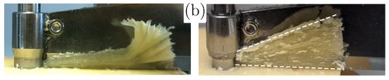 외곽 껍질이 제거된 치즈(오른쪽)에서는 평평한 행태로 잘려 나왔다. Ⓒ Phys Rev Lett