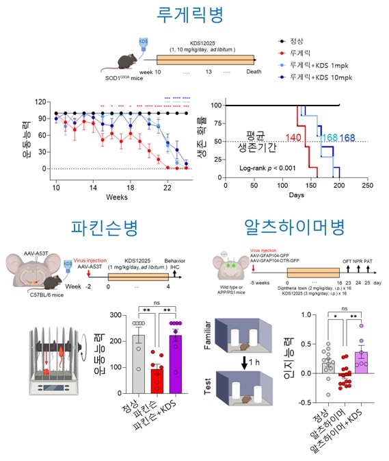 퇴행성 뇌질환 생쥐의 운동·인지 능력 측정 ⓒIBS 제공