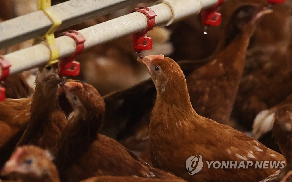 물로 더위 식히기 ⓒ연합뉴스 자료사진