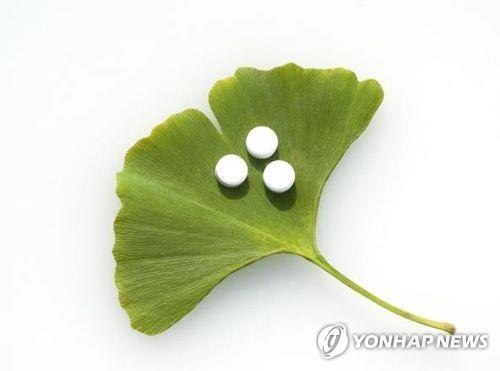 은행잎 추출물 ⓒ게티이미지뱅크 제공