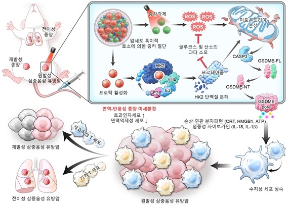 나노탁의 암 치료 기전 ⓒ 심만규 선임연구원 제공