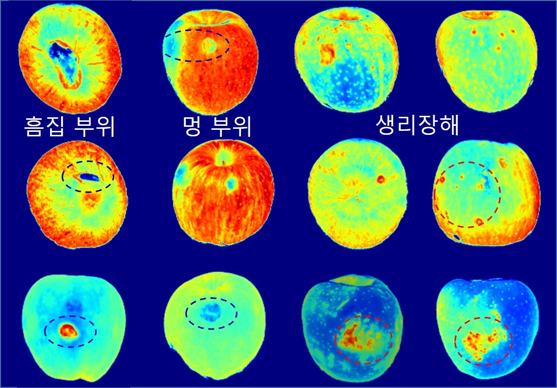 초분광 분석 자료 ⓒ 농진청 제공