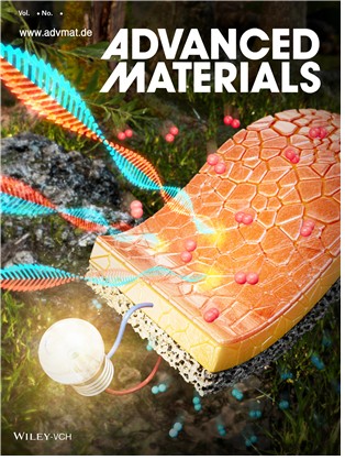 어드밴스드 머티리얼스 표지에 실린 연구성과 ⓒ KAIST 제공