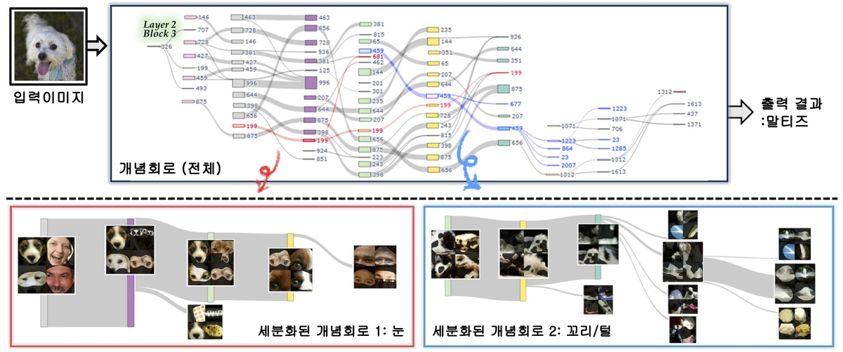 최재석 교수 연구팀이 시각화한 개념회로 ⓒ KAIST 제공