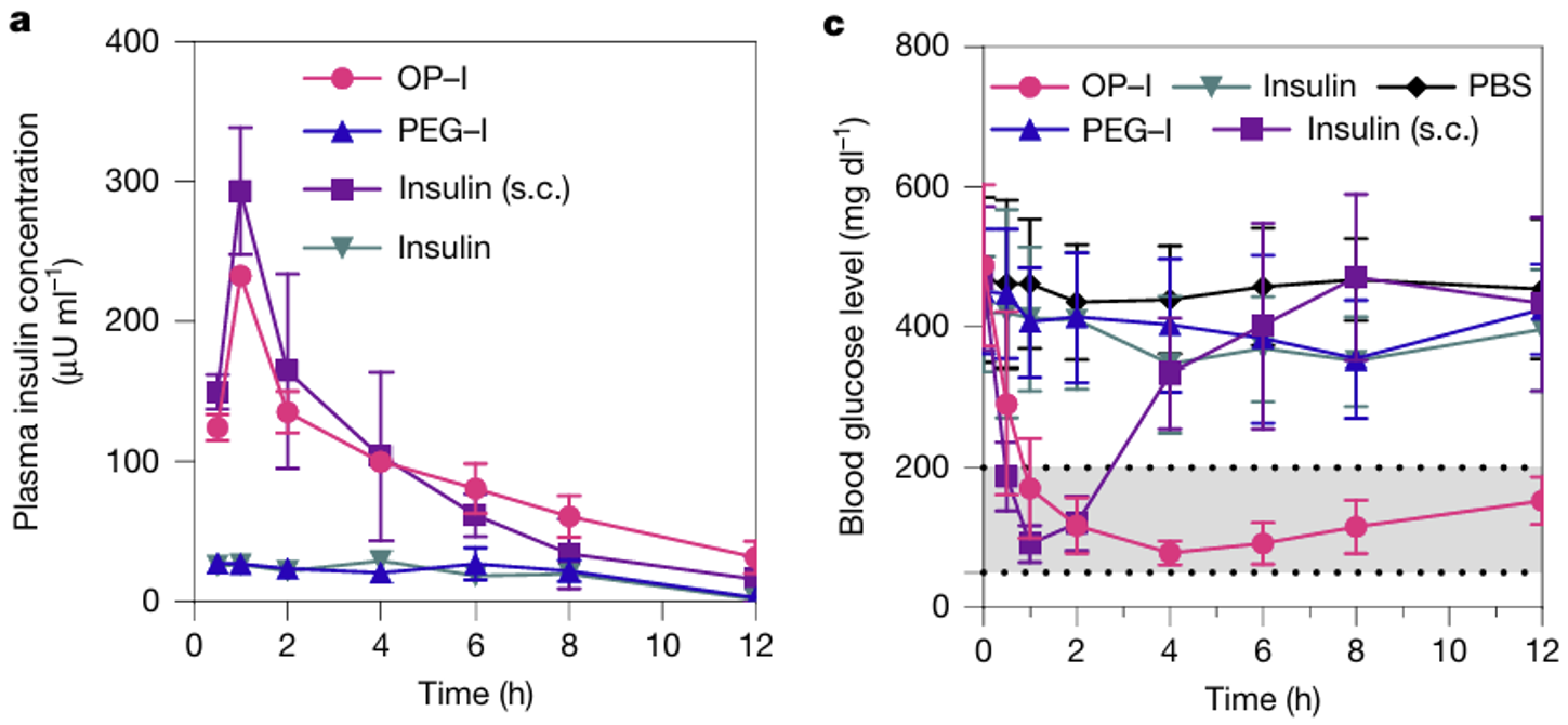폴리머-인슐린 복합체(OP-I)가 인슐린 주사(Insulin(s.c.))와 비슷한 정도로 혈당을 떨어뜨리면서 동시에 효과 지속 시간은 더 우수한 것으로 나타났다. Ⓒ Nature