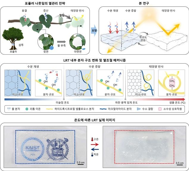 개념도 ⓒ 한국과학기술원 제공