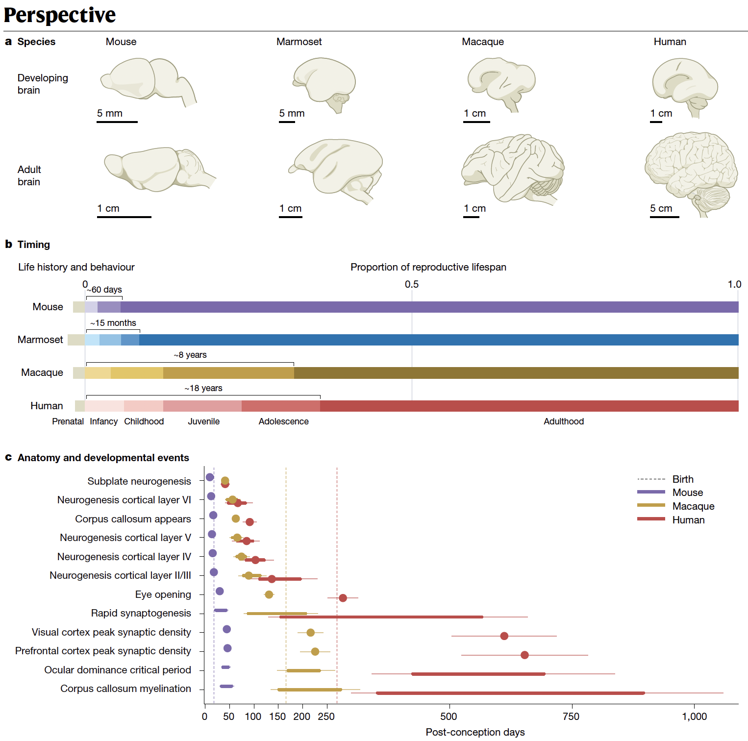 시간에 따라서 변화하는 모습을 보이는 획기적인 연구는 마치 그 도시가 수백 년에 걸쳐 어떻게 건설되고 변화해왔는지를 보여주는 타임랩스 영상과 같다고 표현할 수 있다. ⓒ Nowakowski et al. 2025