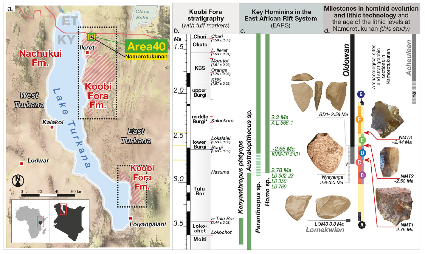 나모로투쿠난의 발견은 석기 제작 기술이 수천 세대에 걸쳐 '안정적으로 전승'되었음을 보여주는 최초의 결정적 증거로 해석된다. © Braun et al. 2025