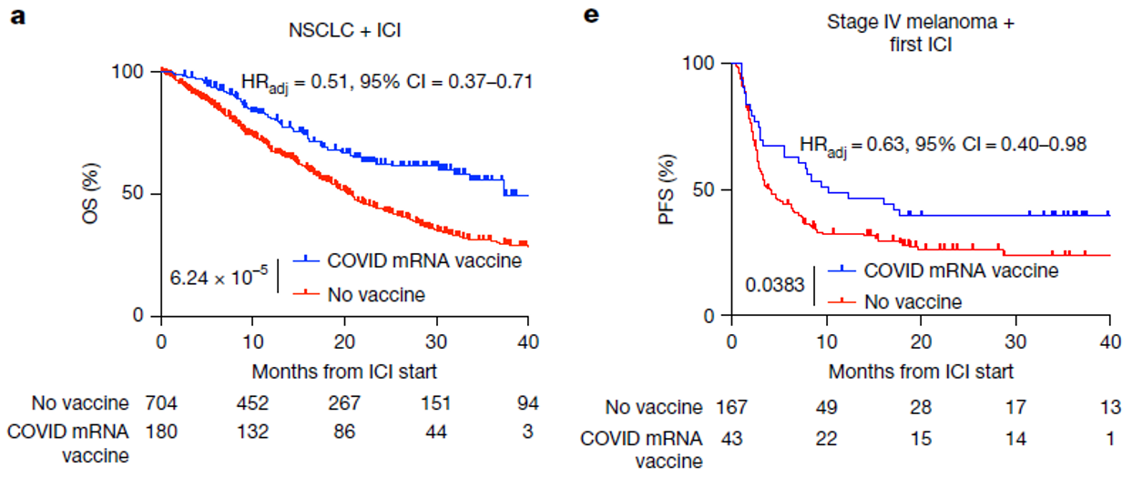 코로나19 백신을 맞은 폐암 및 흑생종 환자들은 백신 미접종 환자들보다 생존율이 높았다. Ⓒ Nature