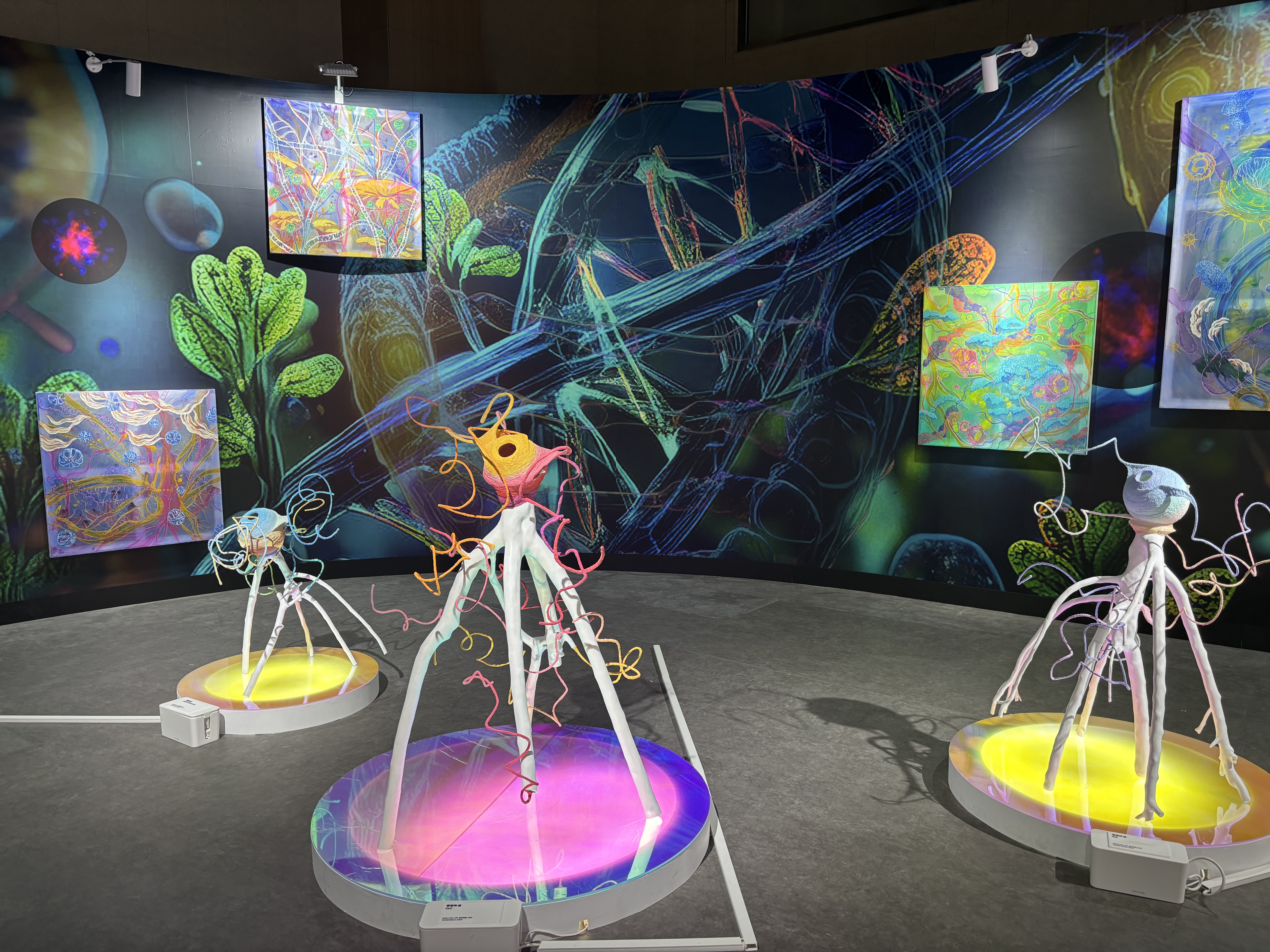 조미예 작가와 김보경 한국생명공학연구원 박사가 협업한 작품 ‘미미한 노화의 신화; 영생의 유혹’ Ⓒ사이언스타임즈 권예슬