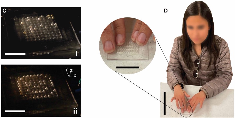 디스플레이에 표시된 Big Red와 웃는 이모티콘 점자를 시각장애인이 정확히 읽어냈다. Ⓒ Sci Robot