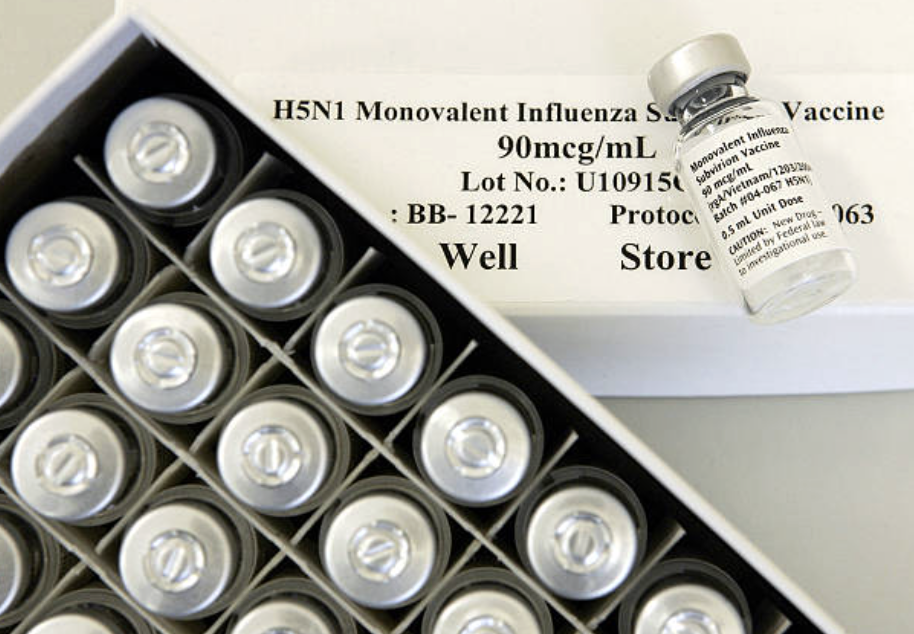 조류독감 H5N1, 북반구 전역 확산