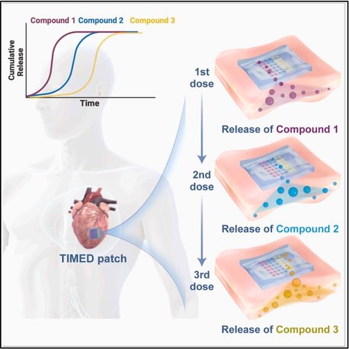 시간조절형 미세입자 약물전달 시스템(TIMED) 개요 ⓒ Cell Biomaterials, Ana Jaklenec et al. 제공