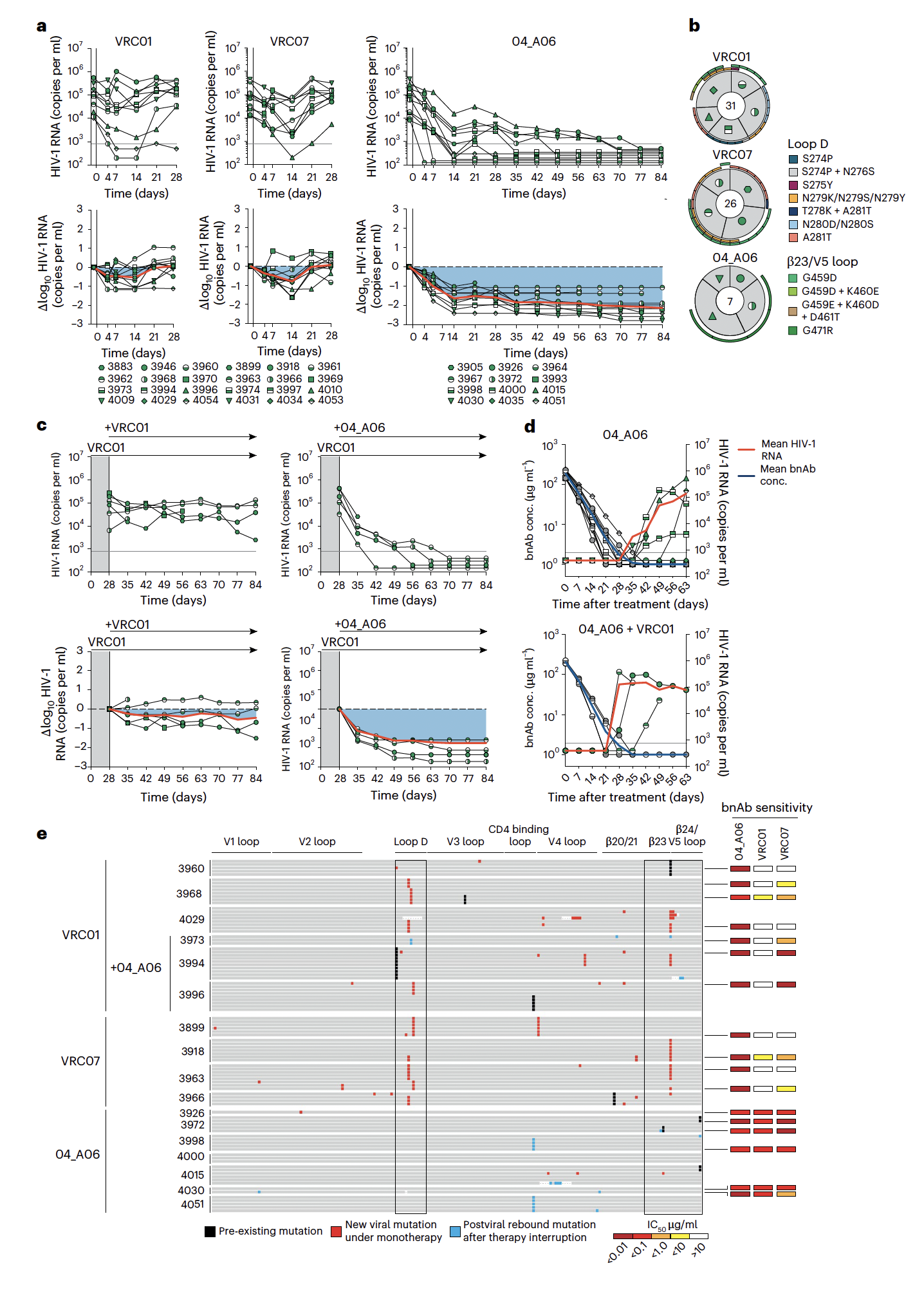 HIV-1 감염 humanized mice에서 04_A06이 12주간 완전한 바이러스 억제 달성함을 보였으며, VRC01/VRC07은 3주 내 viral rebound 발생, 04_A06은 치료 중단 후에도 38.5일간 억제 유지함을 보였다. 또한, VRC01 치료 실패 후 04_A06 투여 시 모든 마우스에서 완전 억제 달성함을 보여 해당 항체의 놀라운 성질을 파악할 수 있었다. 즉, 실험실 결과가 생체 내에서도 재현되며, 기존 치료 실패 사례에서도 효과적임을 입증한 셈이다. ⓒ Gieselmann et al. 2025