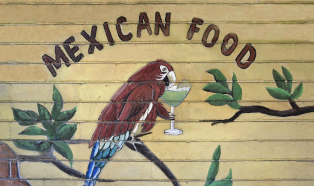 앵무새는 외래종이기 때문에 동물 학대에 대한 기본 규칙을 제외하고는 캘리포니아 법에 따른 특별한 보호를 받지 못한다. ⓒ Getty images